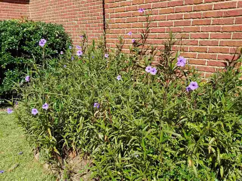 140 Hanover Dr, Brandon, MS 39047 photo 23