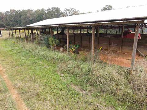 2543 Salem Rd, Kosciusko, MS 39090 photo 13