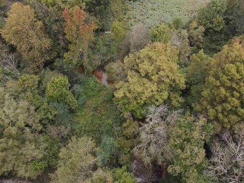 2543 Salem Rd, Kosciusko, MS 39090 photo 7