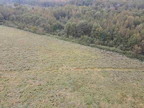 2543 Salem Rd, Kosciusko, MS 39090 photo 6
