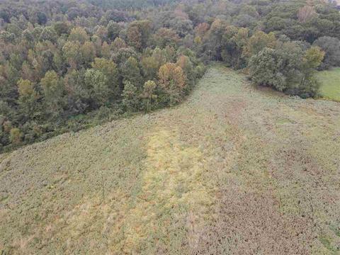 2543 Salem Rd, Kosciusko, MS 39090 photo 5