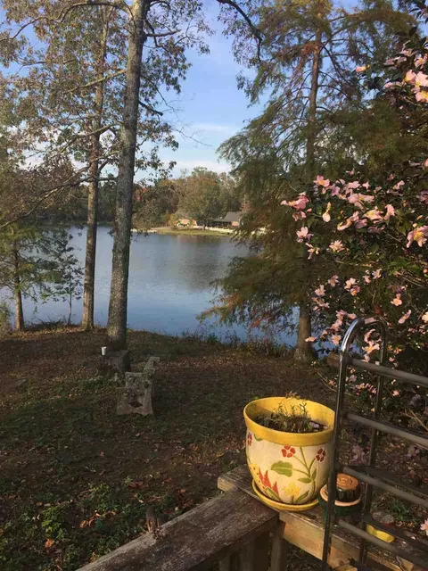 5088 Old Jackson Rd, Terry, MS 39170 photo 10