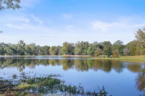 1377 Tara Ln, Terry, MS 39170 photo 50