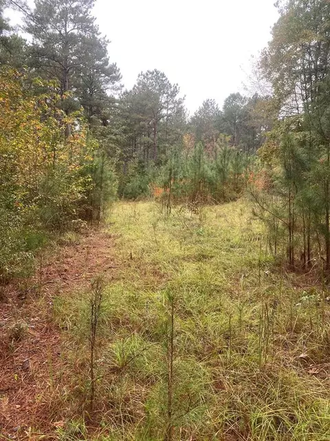 2483 Little Ln, Wesson, MS 39191 photo 4