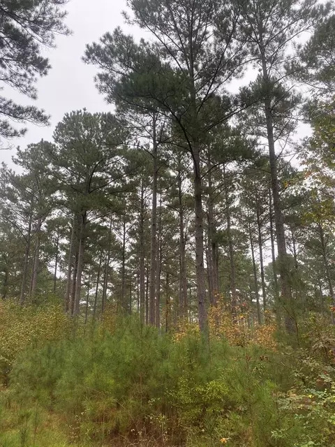2483 Little Ln, Wesson, MS 39191 photo 18