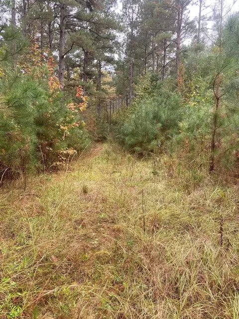 2483 Little Ln, Wesson, MS 39191 photo 5