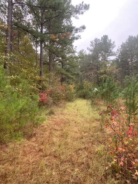 2483 Little Ln, Wesson, MS 39191 photo 11