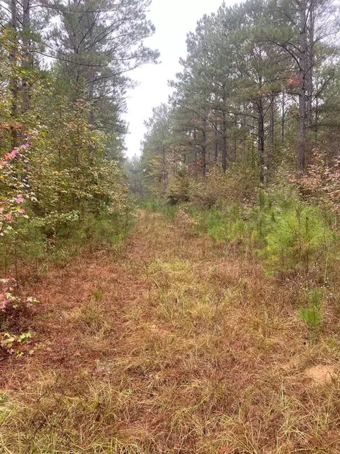 2483 Little Ln, Wesson, MS 39191 photo 14