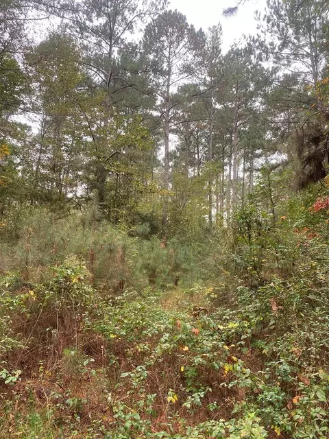 2483 Little Ln, Wesson, MS 39191 photo 2