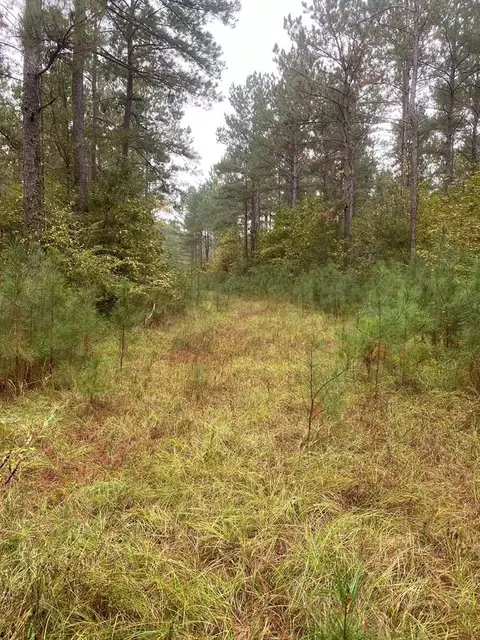 2483 Little Ln, Wesson, MS 39191 photo 10