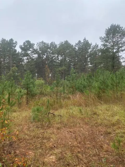 2483 Little Ln, Wesson, MS 39191 photo 12