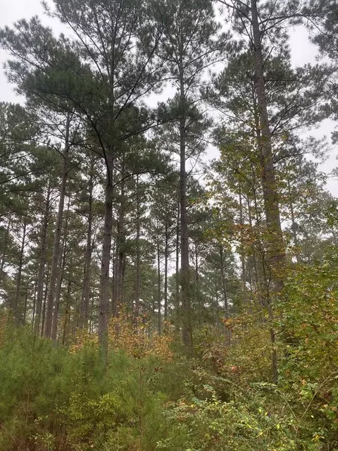 2483 Little Ln, Wesson, MS 39191 photo 19