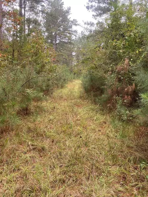 2483 Little Ln, Wesson, MS 39191 photo 9