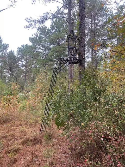 2483 Little Ln, Wesson, MS 39191 photo 16