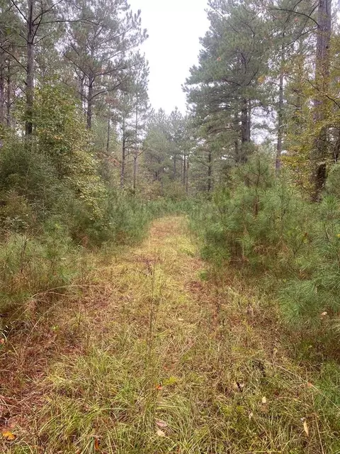 2483 Little Ln, Wesson, MS 39191 photo 17