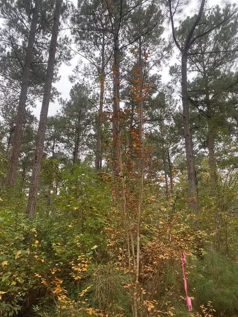 2483 Little Ln, Wesson, MS 39191 photo 6