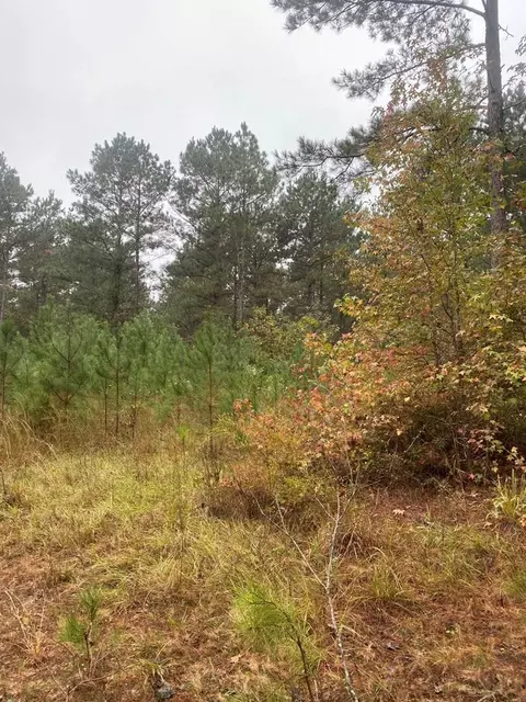 2483 Little Ln, Wesson, MS 39191 photo 13
