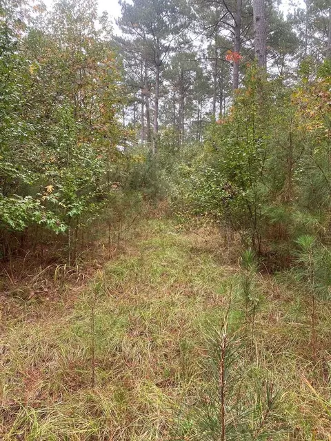 2483 Little Ln, Wesson, MS 39191 photo 8