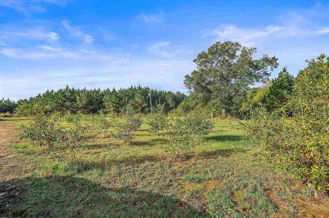 1718 Way Rd, Canton, MS 39046 photo 32