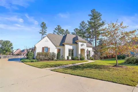 118 Tail Feather Dr, Madison, MS 39110 photo 3
