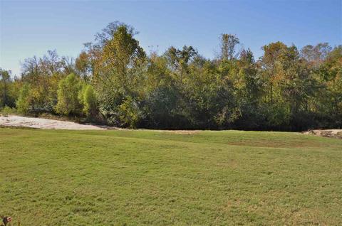 136 Belle Oak Dr, Brandon, MS 39042 photo 46