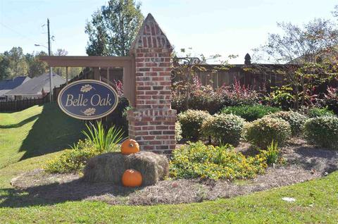 136 Belle Oak Dr, Brandon, MS 39042 photo 2