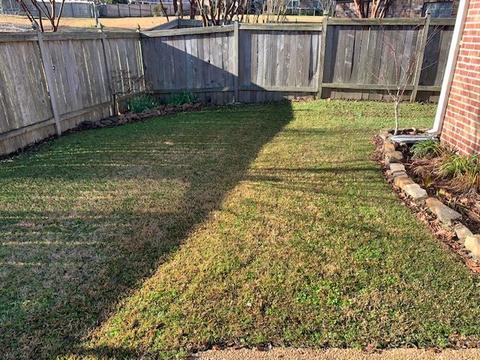 518 Eternal Ct, Brandon, MS 39042 photo 35