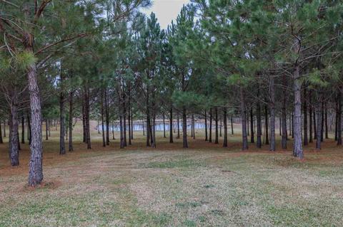 3258 18 Hwy, Brandon, MS 39042 photo 36