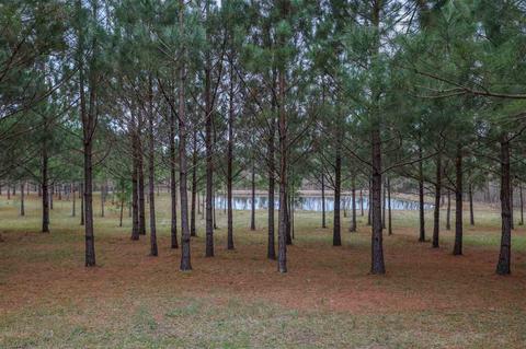 3258 18 Hwy, Brandon, MS 39042 photo 38