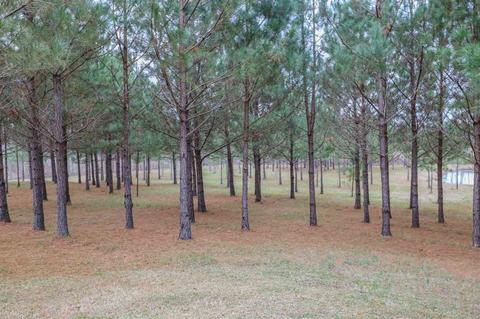 3258 18 Hwy, Brandon, MS 39042 photo 37