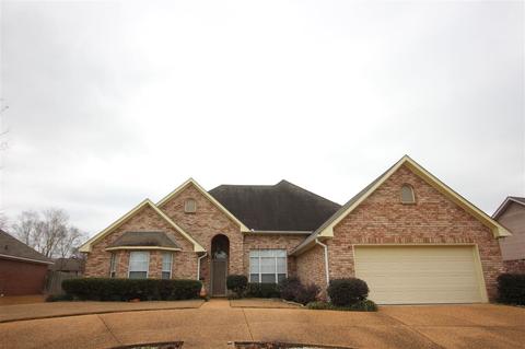 362 Avalon Way, Brandon, MS 39047 photo 1