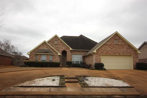 362 Avalon Way, Brandon, MS 39047 photo 32