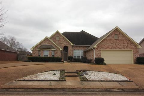 362 Avalon Way, Brandon, MS 39047 photo 30