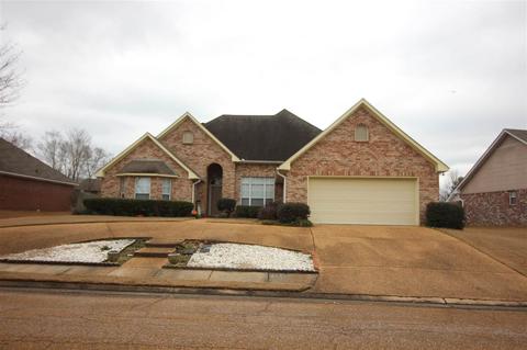 362 Avalon Way, Brandon, MS 39047 photo 34