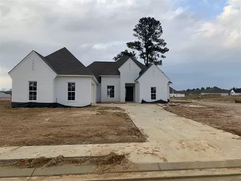 175 Sweetbriar Cir, Canton, MS 39046 photo 1