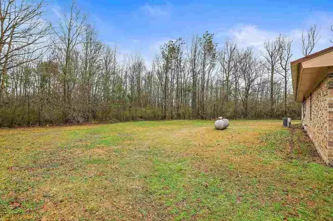 54 W Mcclendon Ln, Forest, MS 39074 photo 24