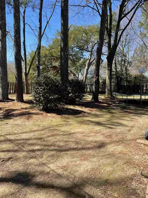 211 Imperial Dr, Jackson, MS 39211 photo 20