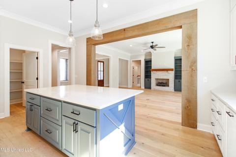 111 Biltmore Cv, Flowood, MS 39232 photo 14