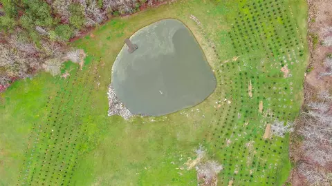 518 Holifield Cir, Brandon, MS 39042 photo 47