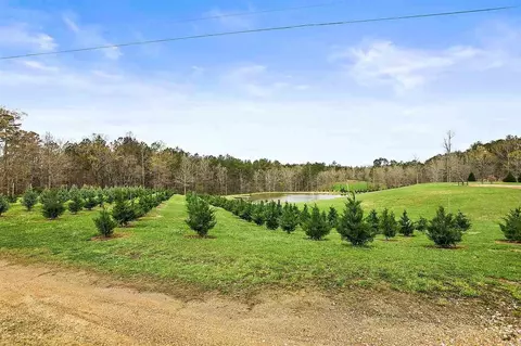 518 Holifield Cir, Brandon, MS 39042 photo 26