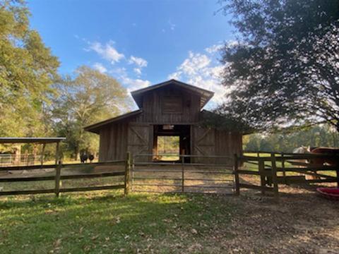 3407 Learned Rd, Raymond, MS 39154 photo 37