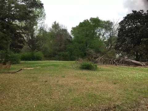 0 Smith Carr Rd #0, Canton, MS 39046 photo 6