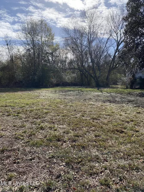 0 Smith Carr Rd #0, Canton, MS 39046 photo 5