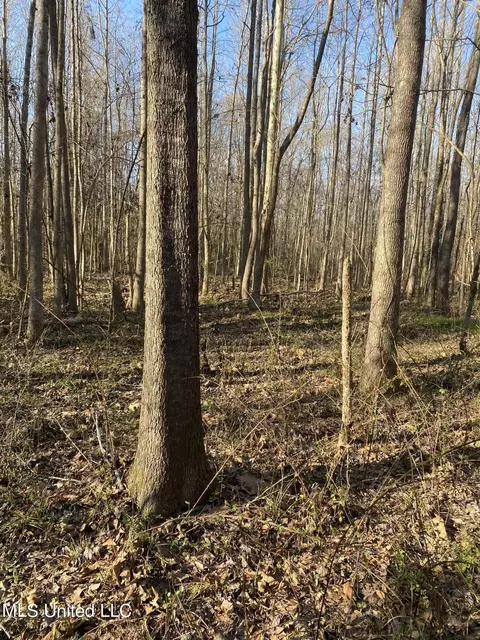 0 Smith Carr Rd #0, Canton, MS 39046 photo 4