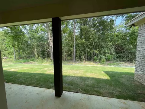 138 Porter Ridge Dr, Canton, MS 39046 photo 1