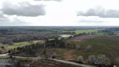dry creek road, Magee, MS 39111 photo 11