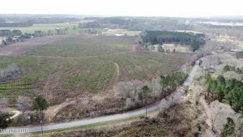 dry creek road, Magee, MS 39111 photo 15