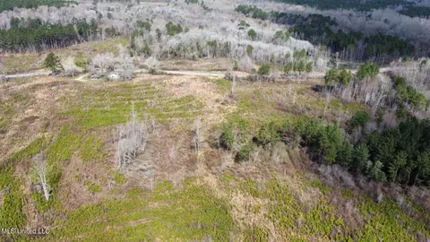 dry creek road, Magee, MS 39111 photo 18