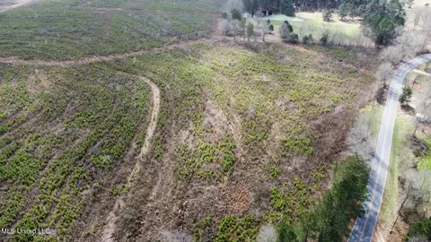 dry creek road, Magee, MS 39111 photo 5