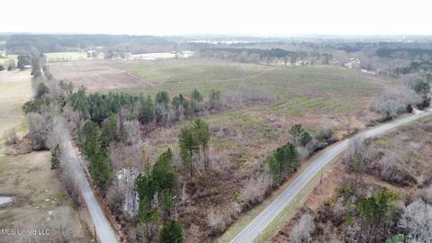 dry creek road, Magee, MS 39111 photo 5